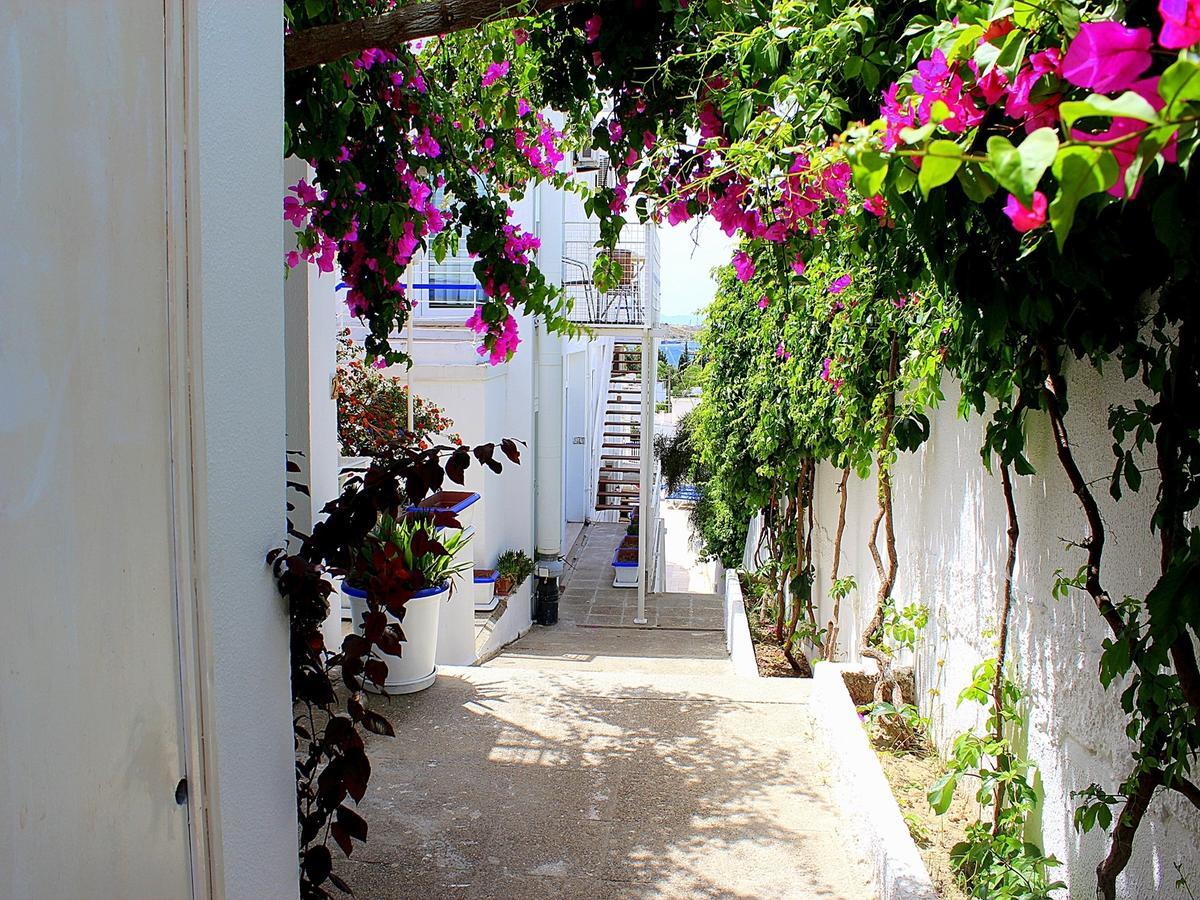 Sky Nova Hotel & Suites Bodrum Bagian luar foto